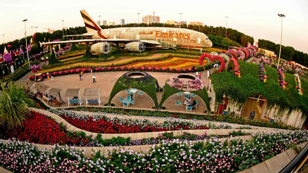 Парк цветов в Дубае, цены билетов за вход, когда работает, как добраться